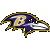 Baltimore Ravens Baltimore Ravens